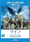 �yBlu-ray�z���C�t -���̂����Ȃ�����-�i�u���[���C�j