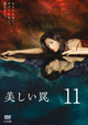 美しい罠 完全版 11