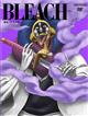 BLEACH 破面(アランカル)・VS.死神篇 3