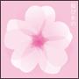 桜ぴあの-ピアノで聴く人気桜ソングス