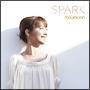 SPARK