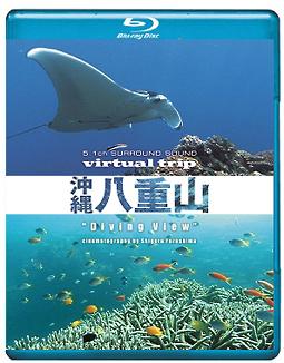 uump4.cc_沖縄八重山.Virtual.Trip.YAEYAMASAKURA.2011.Bluray.JPN.1080i.AVC.DTSHDMA-beAst