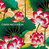 CAKRA MEDITATION