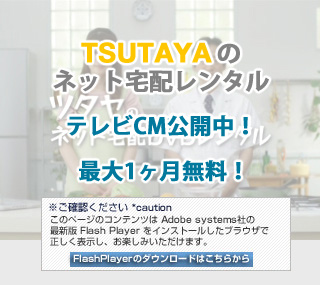 �ŐV�ł�FlashPlayer���C���X�g�[�����Ă��������B