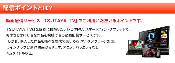 配信ポイントとは?