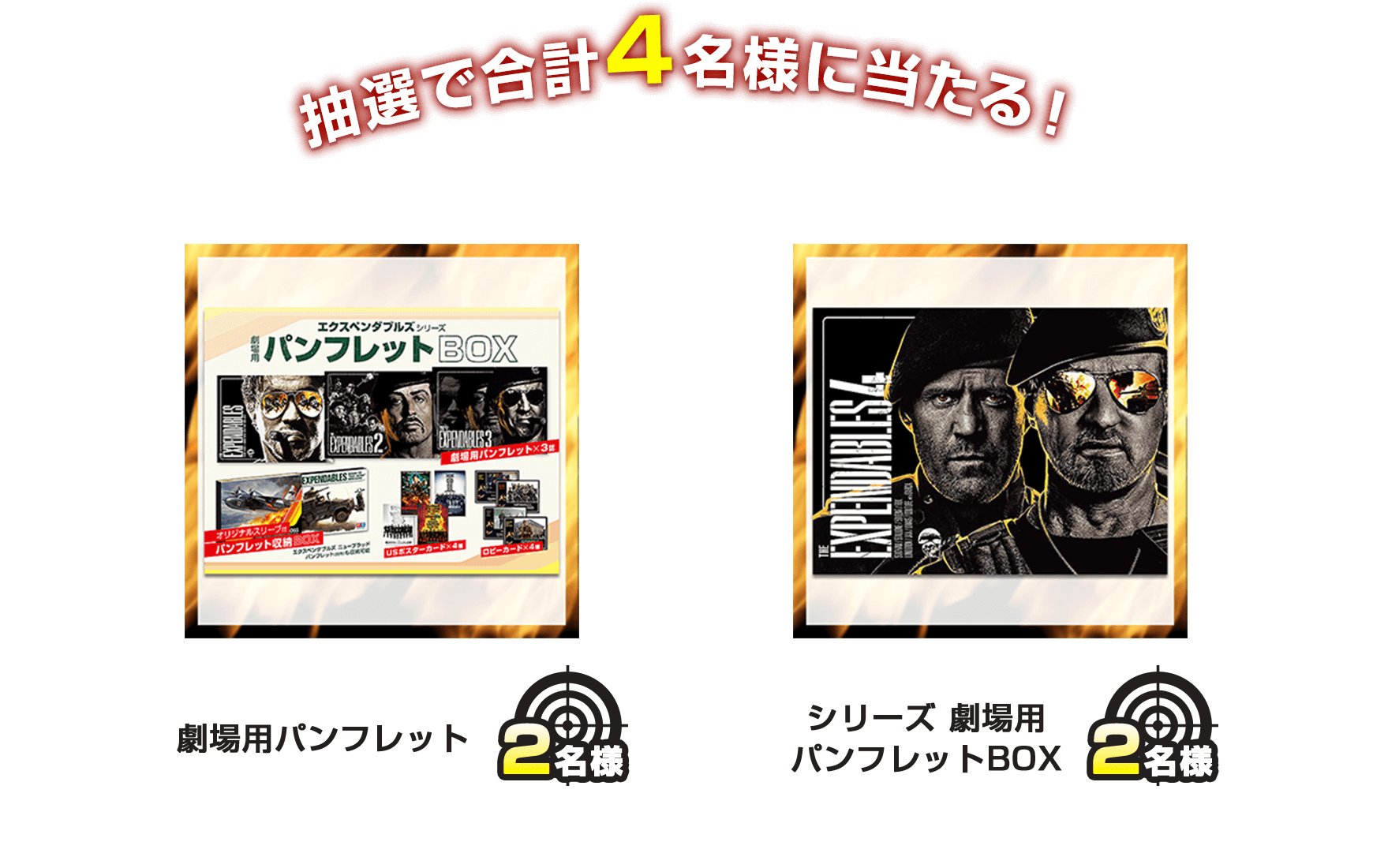 抽選で合計4名様に当たる！ 劇場用パンフレット 2名様 シリーズ 劇場用 パンフレットBOX 2名様