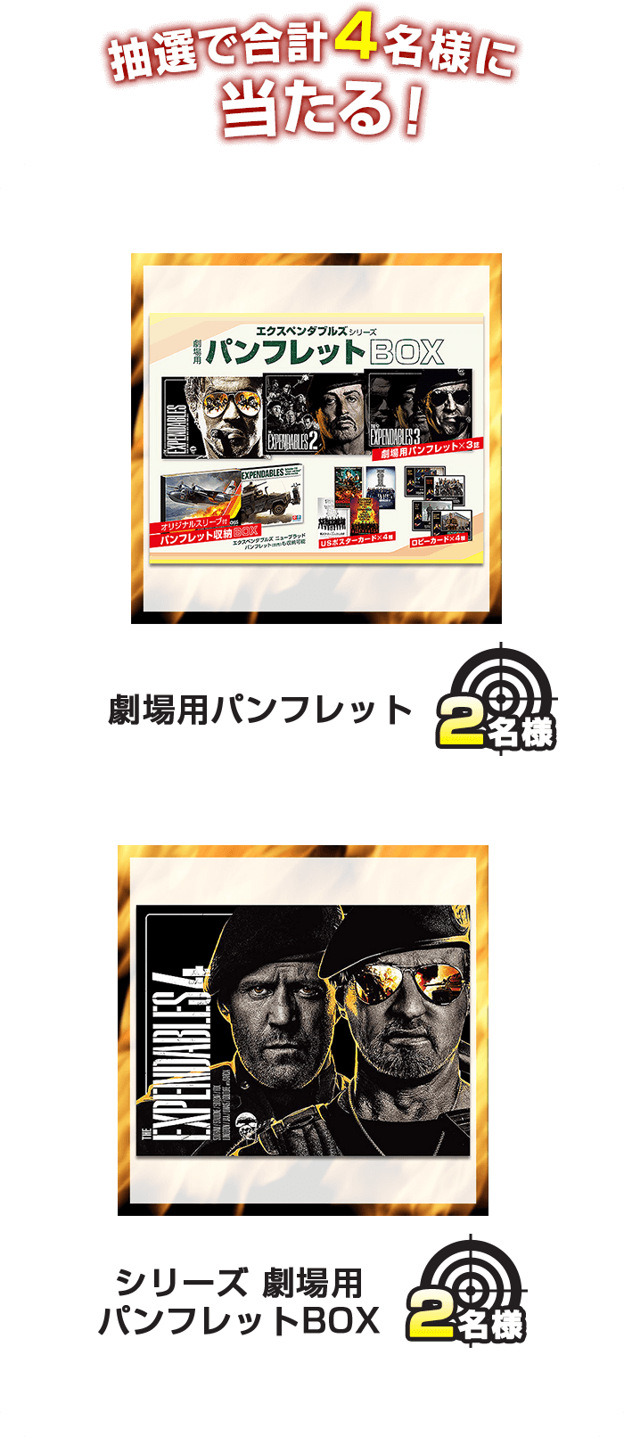 抽選で合計4名様に当たる！ 劇場用パンフレット 2名様 シリーズ 劇場用 パンフレットBOX 2名様
