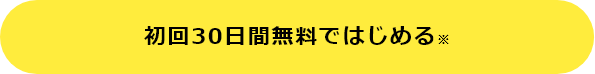 初回30日間無料ではじめる※
