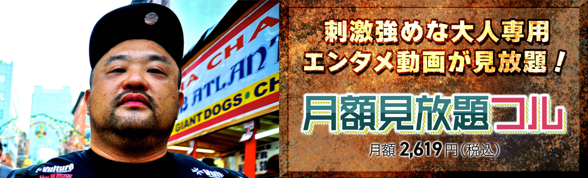 月額見放題フル