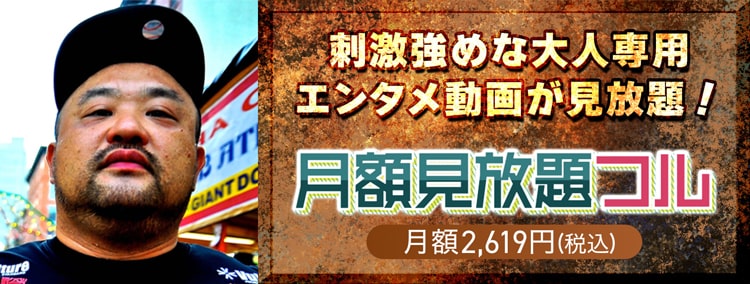 月額見放題フル