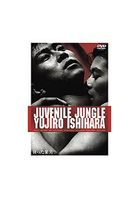 サライ 石原裕次郎 特集 2007年8月16日発行 狂った果実　DVD付き