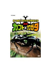 激闘 カブト×クワガタ ~あつまれ!たたかう甲虫たち~ [DVD] o7r6kf1 Amazon.co.jp: 激闘 カブト×クワガタ ~あつまれ!たたかう甲虫