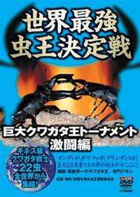 世界最強虫王決定戦／カブト・クワガタ／ムシファイト　DVD 12本 Amazon.com: 世界最強虫王決定戦 カブト王vsクワガタ王~誇り高き