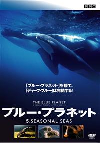 ブループラネットdvd  確認用 ブルー・プラネット 5 SEASONAL SEAS | 宅配DVDレンタル