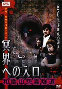 嘘の心 廃盤DVD 見本品(サンプル盤) 嘘の心 廃盤DVD 見本品(サンプル盤) 嘘の心 廃盤DVD 見