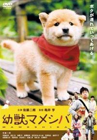 Amazon.co.jp: ドラマ「 幼獣マメシバ 望郷篇 」DVD-BOX : 佐藤