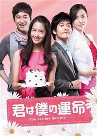 君は僕の運命 DVD全巻セット〈36枚組〉韓国ドラマ/華流/中国