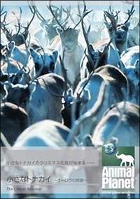 アニマル・プラネット 小さなトナカイ ~オーロラの奇跡~ [DVD] アニマル・プラネット 小さなトナカイ～オーロラの奇跡～ | 宅配