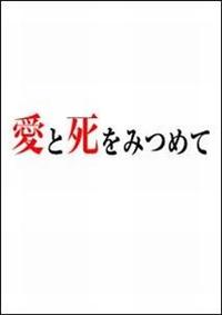 愛と死をみつめて DVD-BOX〈3枚組〉 希少美品☆愛と死をみつめて DVD-BOX〈3枚組〉広末涼子.草彅剛