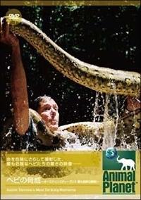 アニマル・プラネット DVD 全6巻 シャチ 毒蛇 パンダ 動物 自然
