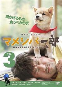 独特な 佐藤二朗主演】連続テレビドラマ マメシバ一郎 宅配DVD | VOL.1 その他