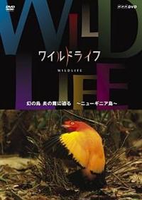 ワイルドライフ 南米 イグアス 世界最大の滝に野生が集う [DVD]