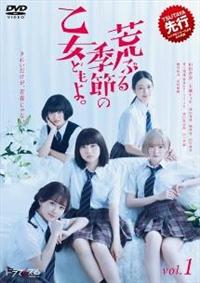 荒ぶる季節の乙女どもよ。 DVD-BOX〈4枚組〉