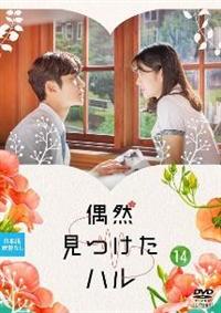 全巻セット【中古】DVD▼偶然見つけたハル(16枚セット)第1話～第32話 最終 字幕のみ レンタル落ち 全巻セット【中古】DVD▽偶然見つけたハル(16枚セット)第1話～第