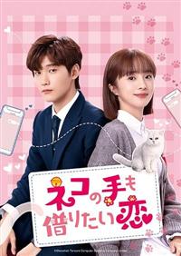 「ネコの手も借りたい恋」 DVD 全12巻完結セット 中国ドラマ レンタル落ち ネコの手も借りたい恋 | 宅配DVDレンタルのTSUTAYA DISCAS