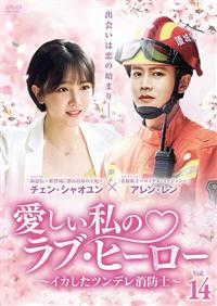 愛しい私のラブヒーロー dvd 全巻　全16巻 4944285837639_1MX.jpg