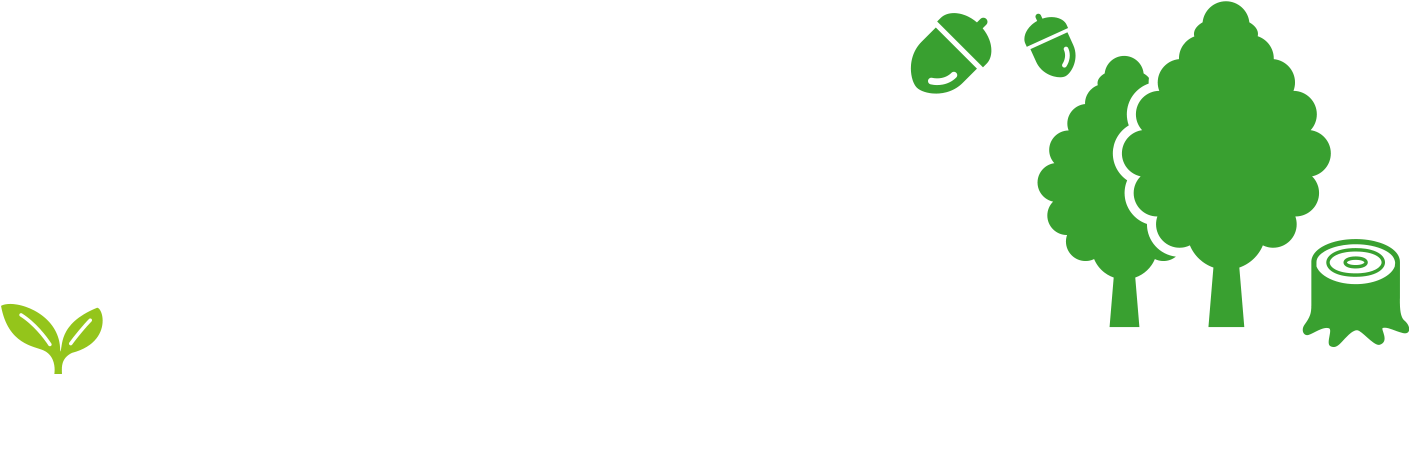 ジブリがいっぱい特集 TSUTAYA DISCAS