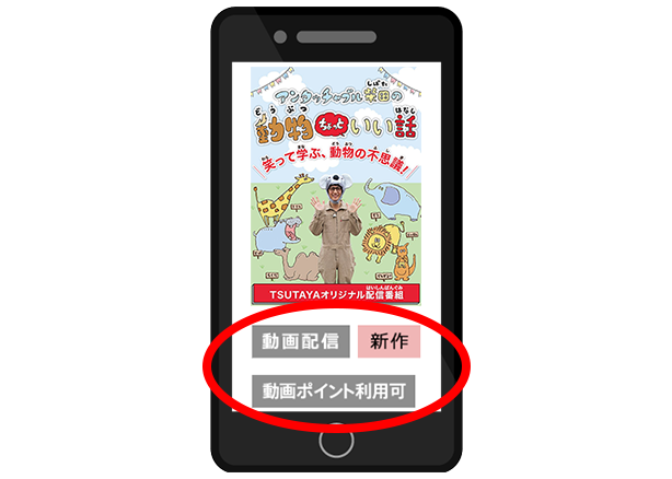 動画ポイントの使い方