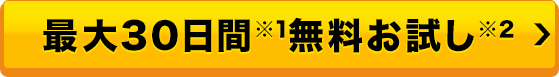 30日間無料お試し※