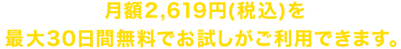 月額2,619円(税込)を30日間無料でお試しがご利用できます。