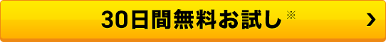 30日間無料お試し